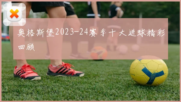 奥格斯堡2023-24赛季十大进球精彩回顾