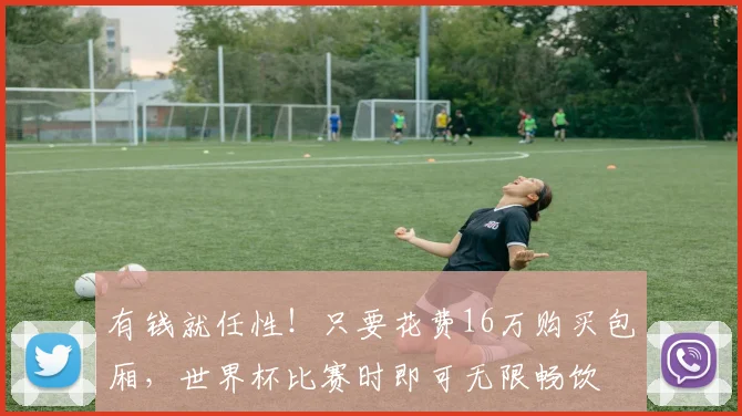 有钱就任性！只要花费16万购买包厢，世界杯比赛时即可无限畅饮